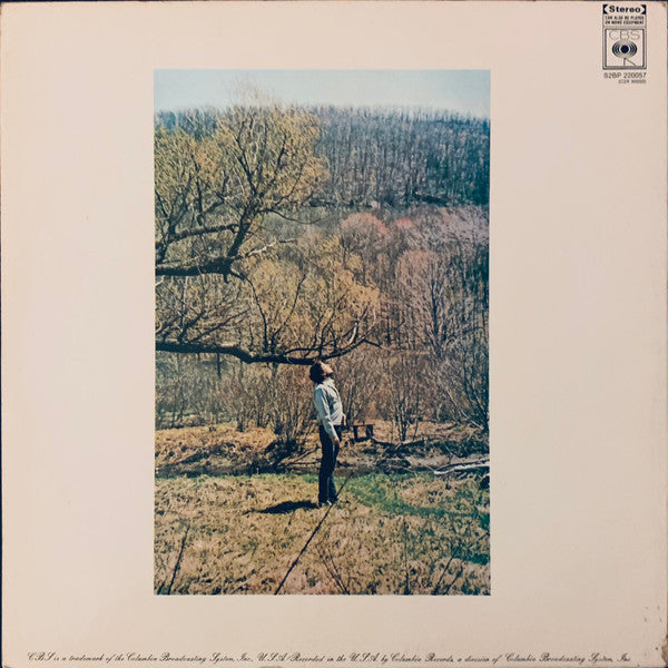 Bob Dylan – Self Portrait (2xLP) LP vinyl record, image 4 of 8