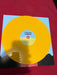 Childish Gambino – STN MTN / Kauai (2xLP) LP vinyl record, image 8 of 10