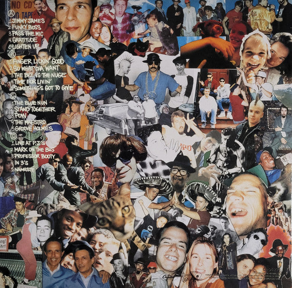 Beastie Boys – Check Your Head (2xLP) LP vinyl record, image 4 of 10