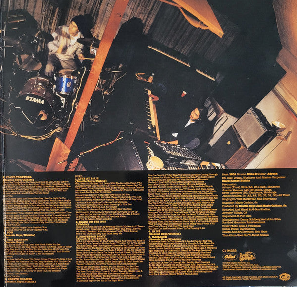 Beastie Boys – Check Your Head (2xLP) LP vinyl record, image 3 of 10