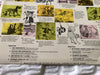 Various – The Aristocats And Other Cat Songs LP vinyl record, image 3 of 5