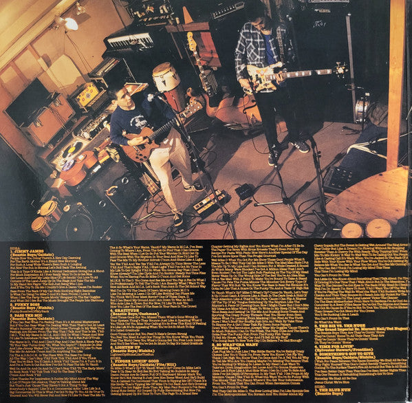 Beastie Boys – Check Your Head (2xLP) LP vinyl record, image 2 of 10