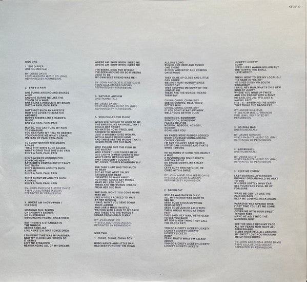 Jesse Ed Davis – Keep Me Comin' LP vinyl record, image 3 of 6