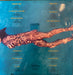 Little River Band – Greatest Hits Vol II LP vinyl record, image 2 of 2