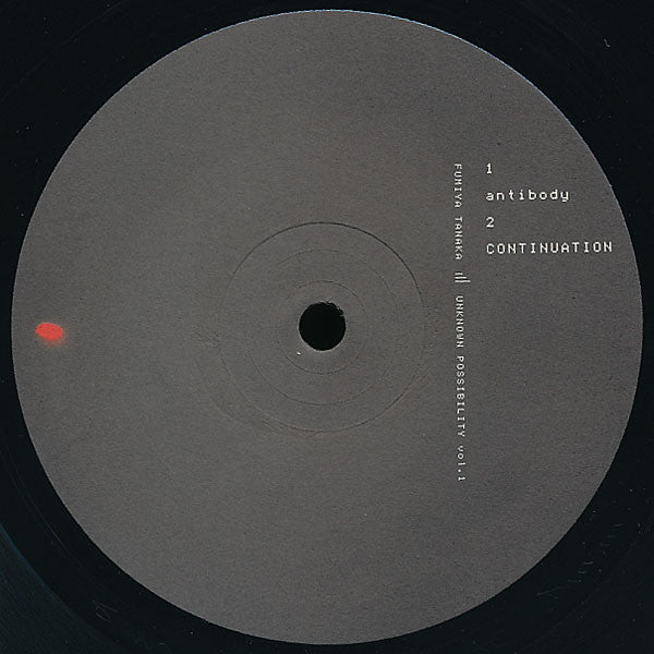 Fumiya Tanaka – Unknown Possibility Vol. 1 (2xLP) LP vinyl record, image 3 of 6
