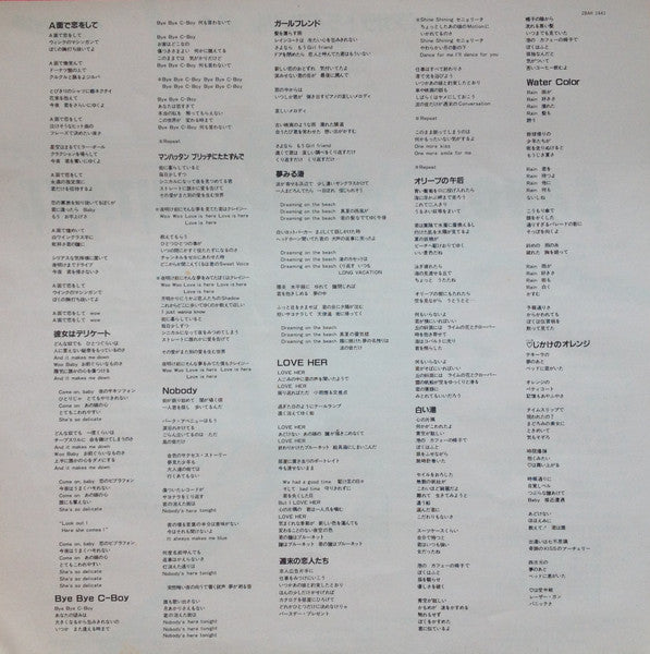Niagara Triangle – Niagara Triangle Vol.2 = ナイアガラ トライアングル Vol.2 LP vinyl record, image 7 of 7