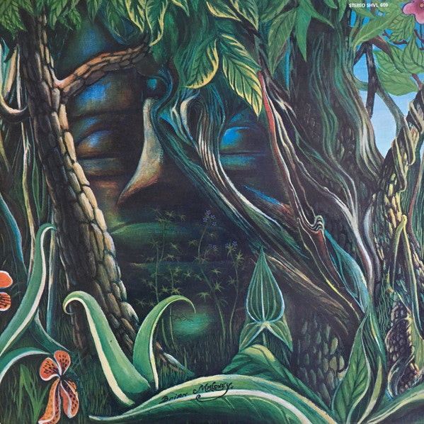 Pirana – Pirana II LP vinyl record, image 2 of 7