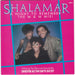 Shalamar – A Night To Remember 7" vinyl record, image 1 of 4