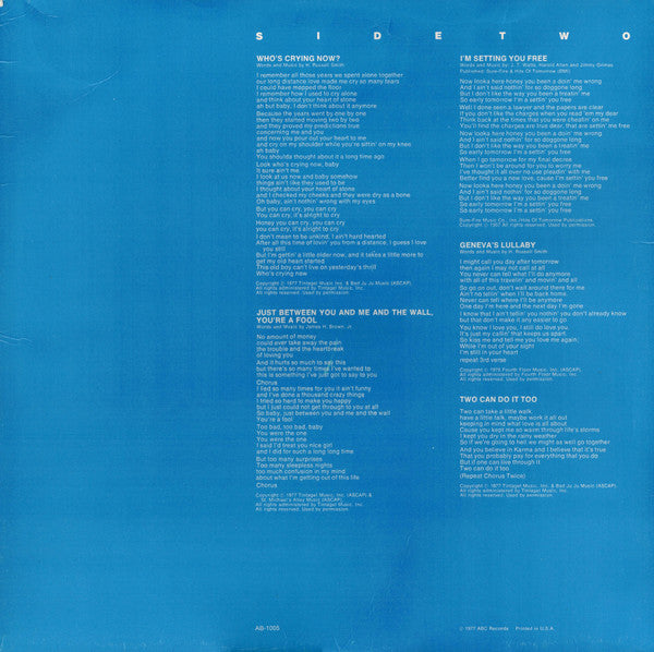 The Amazing Rhythm Aces – Toucan Do It Too LP vinyl record, image 6 of 6