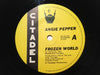 Angie Pepper – Frozen World 7" vinyl record, image 3 of 4