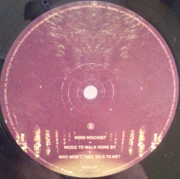 Tame Impala – Lonerism (2xLP) LP vinyl record, image 6 of 9