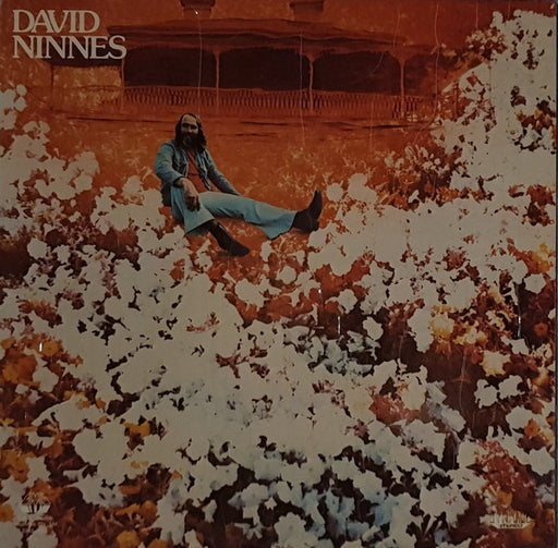 David Ninnes – David Ninnes LP vinyl record, image 1 of 5