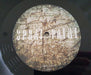 Spray Paint – Punters On A Barge LP vinyl record, image 5 of 7