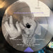 Stephin Merritt – Obscurities LP vinyl record, image 5 of 6