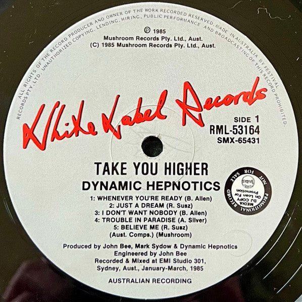 The Dynamic Hepnotics – Take You Higher LP vinyl record, image 3 of 4
