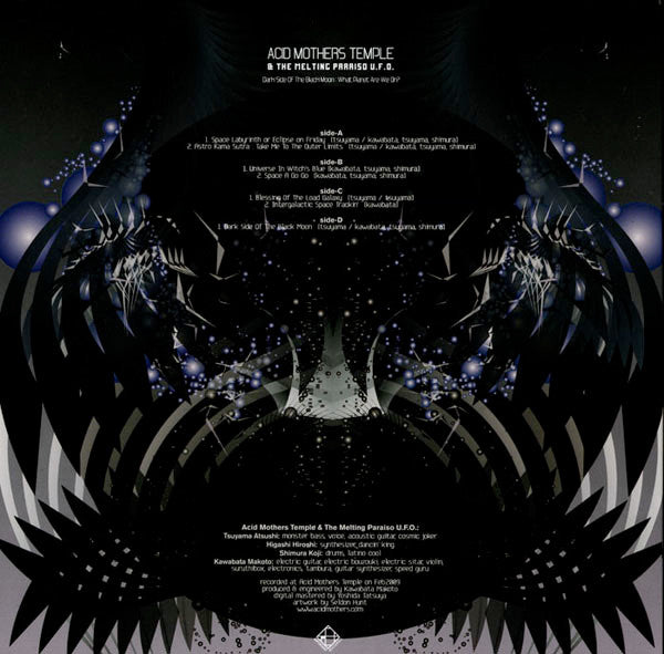 Acid Mothers Temple & The Melting Paraiso UFO – Dark Side Of The Black Moon: What Planet Are We On? (2xLP) LP vinyl record, image 3 of 8