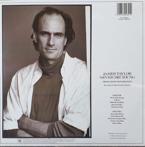 James Taylor – Never Die Young LP vinyl record, image 2 of 6
