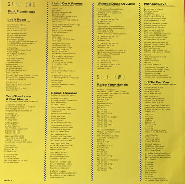 Bon Jovi – Slippery When Wet LP vinyl record, image 5 of 6
