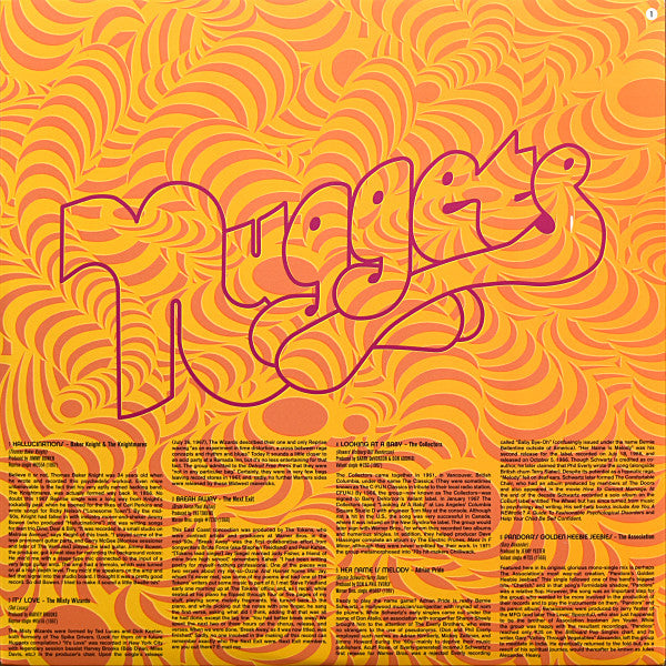 Various – Hallucinations: Psychedelic Pop Nuggets From The WEA Vaults (2xLP) LP vinyl record, image 7 of 10