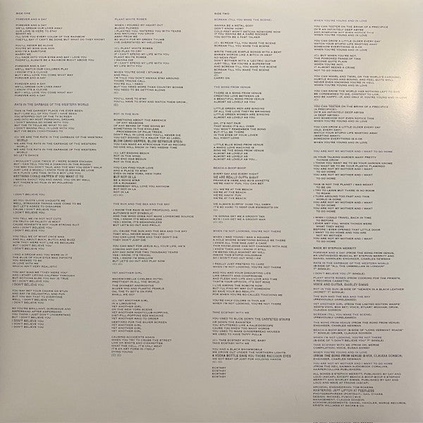 Stephin Merritt – Obscurities LP vinyl record, image 3 of 6
