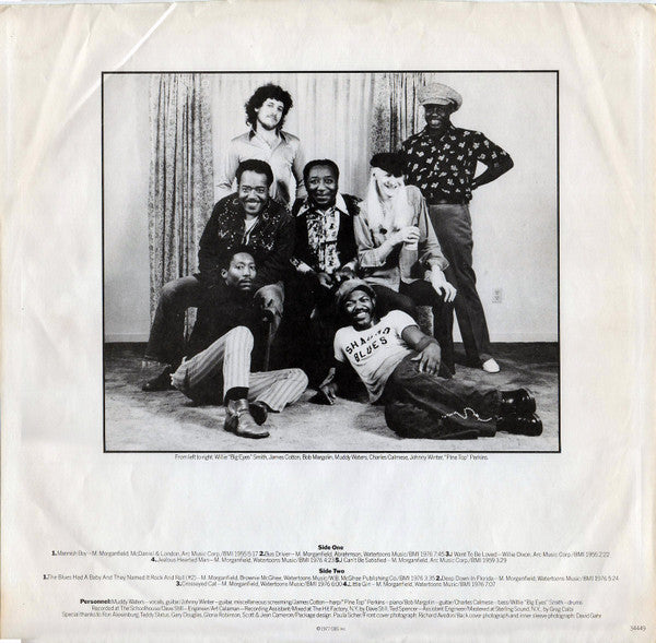 Muddy Waters – Hard Again LP vinyl record, image 5 of 5