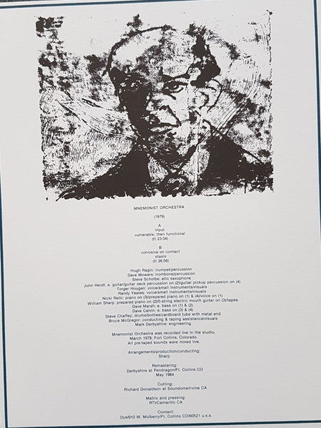 Mnemonist Orchestra, Mnemonists – Mnemonist Orchestra / Some Attributes Of A Living System (2xLP) LP vinyl record, image 6 of 10