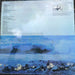 Mike Oldfield – Tubular Bells LP vinyl record, image 4 of 4