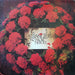 The Stranglers – No More Heroes LP vinyl record, image 1 of 4