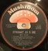 Matt Taylor – Straight As A Die LP vinyl record, image 6 of 6