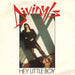 Divinyls – Hey Little Boy 7" vinyl record, image 1 of 3