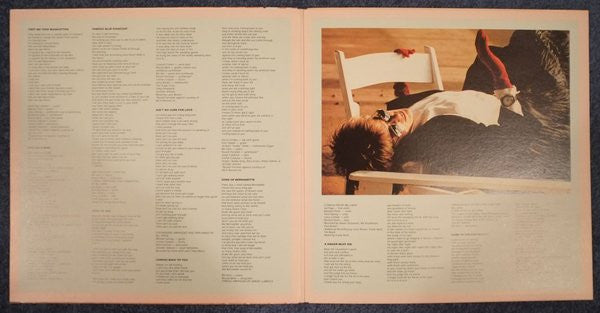 Jennifer Warnes – Famous Blue Raincoat (The Songs Of Leonard Cohen) LP vinyl record, image 6 of 6