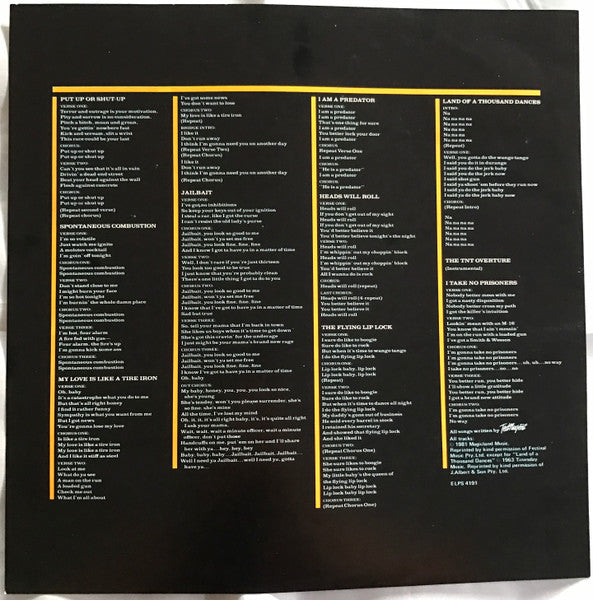 Ted Nugent – Intensities In 10 Cities LP vinyl record, image 5 of 6