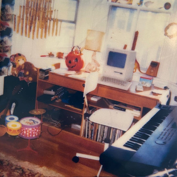 Stephin Merritt – Obscurities LP vinyl record, image 4 of 6