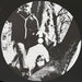 The Dutchess And The Duke – She's The Dutchess, He's The Duke LP vinyl record, image 4 of 6
