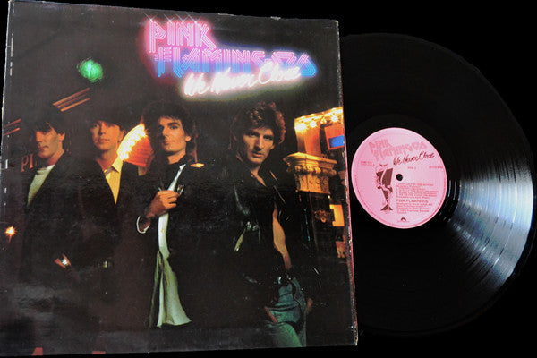 Dave McArtney & The Pink Flamingos – We Never Close LP vinyl record, image 2 of 5