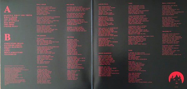 Damaged Bug – Cold Hot Plumbs LP vinyl record, image 2 of 10