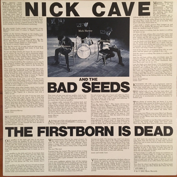 Nick Cave & The Bad Seeds – The Firstborn Is Dead LP vinyl record, image 2 of 7