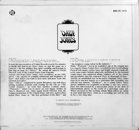 Davy Jones – Davy Jones LP vinyl record, image 2 of 4