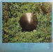 Air Supply – Air Supply LP vinyl record, image 2 of 7