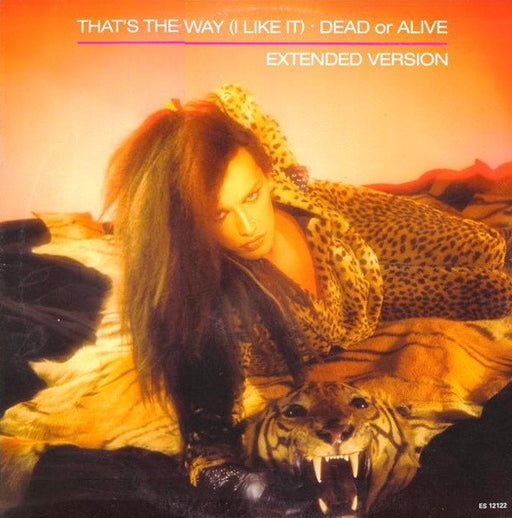 Dead Or Alive – That's The Way (I Like It) (Extended Version)