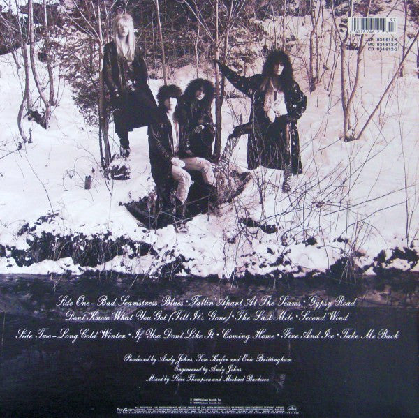 Cinderella – Long Cold Winter LP vinyl record, image 2 of 6