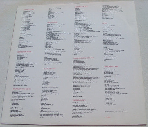 Lavine Hudson – Intervention LP vinyl record, image 6 of 9