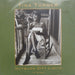 Tina Turner – Nutbush City Limits 12" vinyl record, image 1 of 3