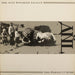 Anti-Nowhere League – The Perfect Crime LP vinyl record, image 1 of 3
