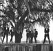 Arcade Fire – Tutto Adesso LP vinyl record, image 5 of 8