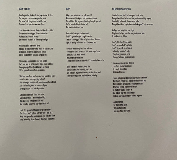 The Drones – Wait Long By The River And The Bodies Of Your Enemies Will Float By (2xLP) LP vinyl record, image 9 of 10