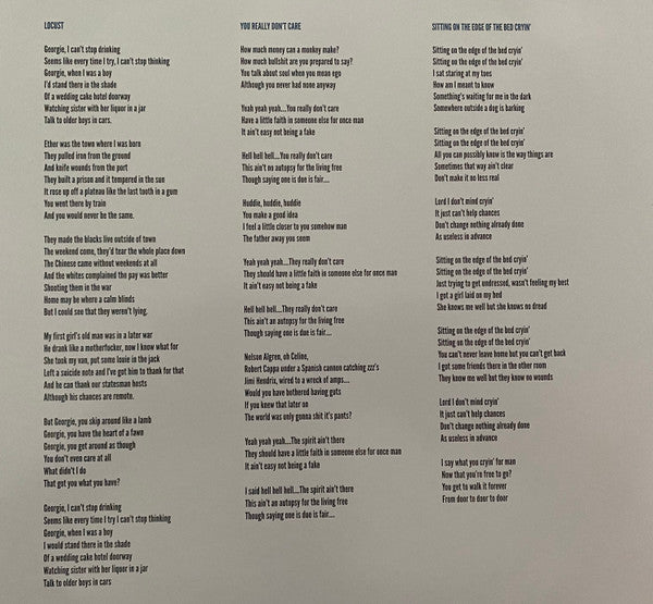 The Drones – Wait Long By The River And The Bodies Of Your Enemies Will Float By (2xLP) LP vinyl record, image 10 of 10