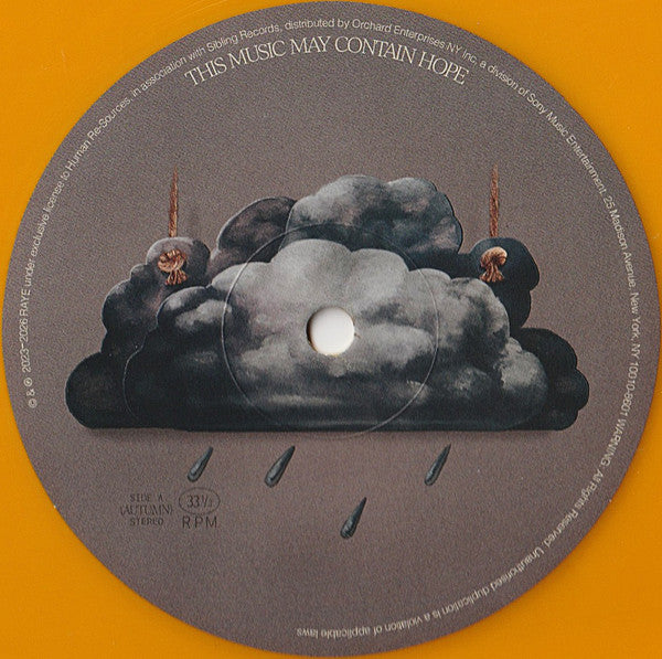 Raye – This Music May Contain Hope. (2xLP) LP vinyl record, image 5 of 10