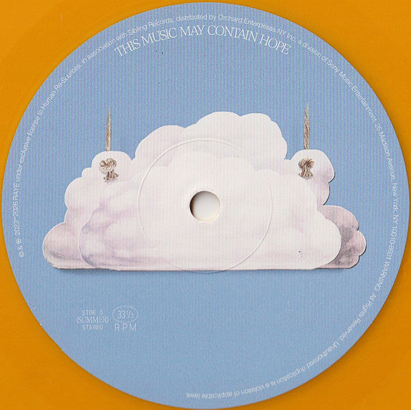 Raye – This Music May Contain Hope. (2xLP) LP vinyl record, image 8 of 10