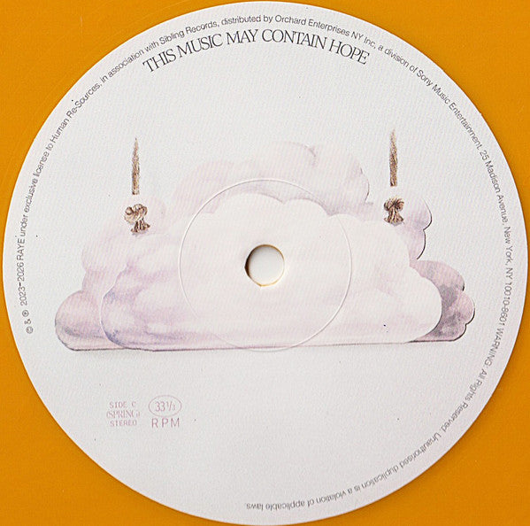 Raye – This Music May Contain Hope. (2xLP) LP vinyl record, image 7 of 10